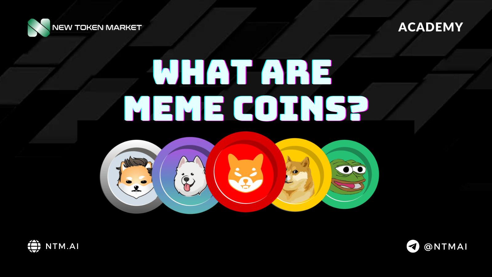 What Are Meme Coins?
