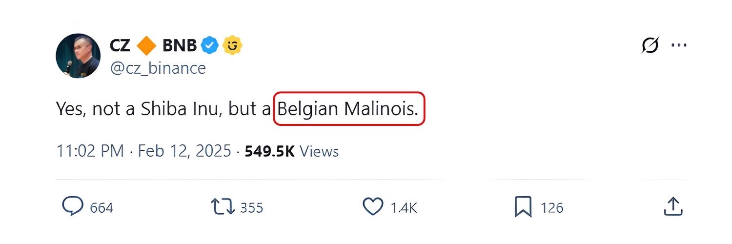 Paid Advertisement Photo