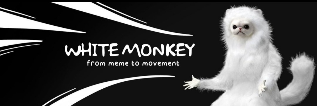 Paid Advertisement Photo