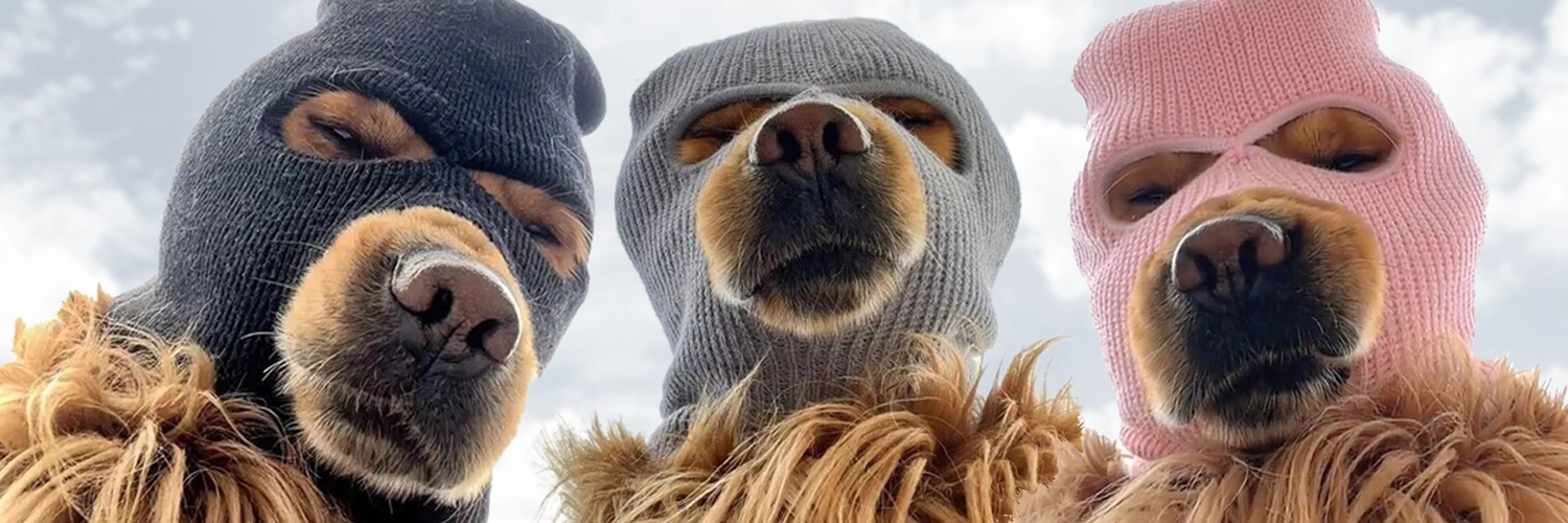 Paid Advertisement Photo