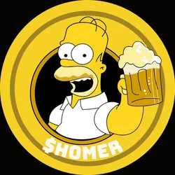  HOMER SIMPSON COIN   logo