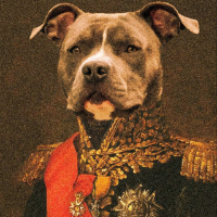 GENERAL DOGGY Token