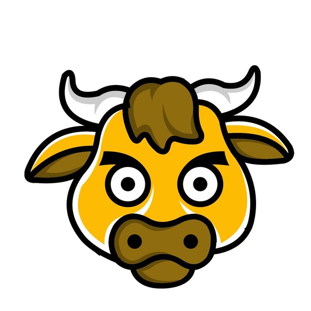 Bull coin