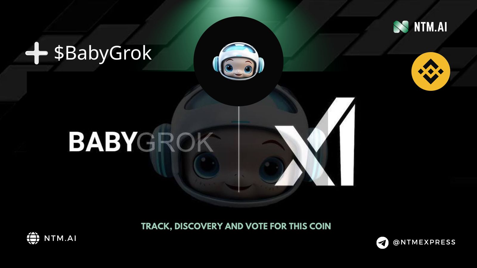 Baby Grok (BabyGrok) | NTM.ai