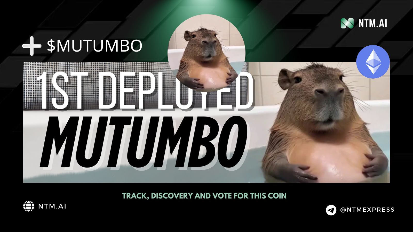 Mutumbo (MUTUMBO) | NTM.ai