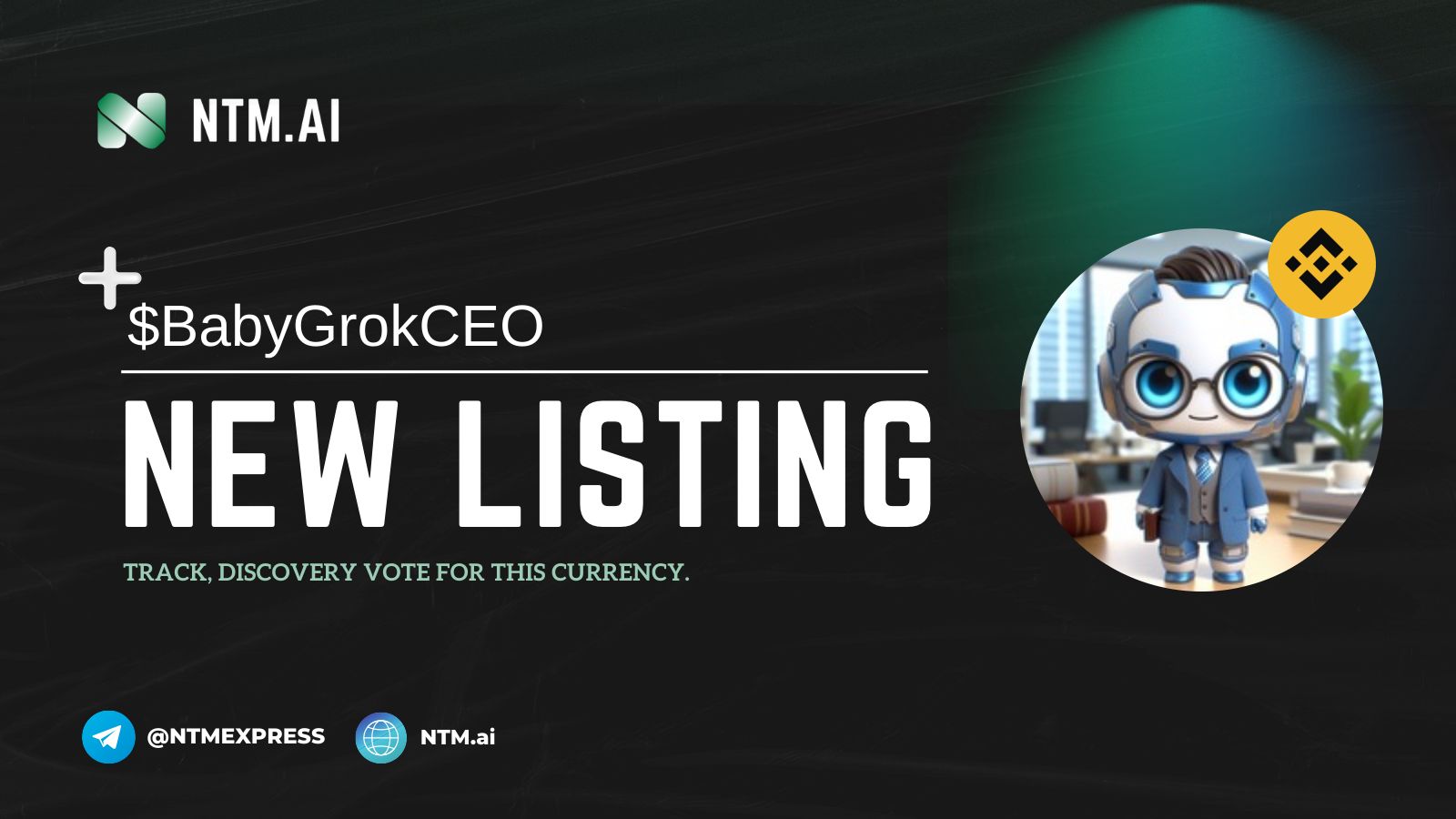 Baby Grok CEO (BabyGrokCEO) | NTM.ai