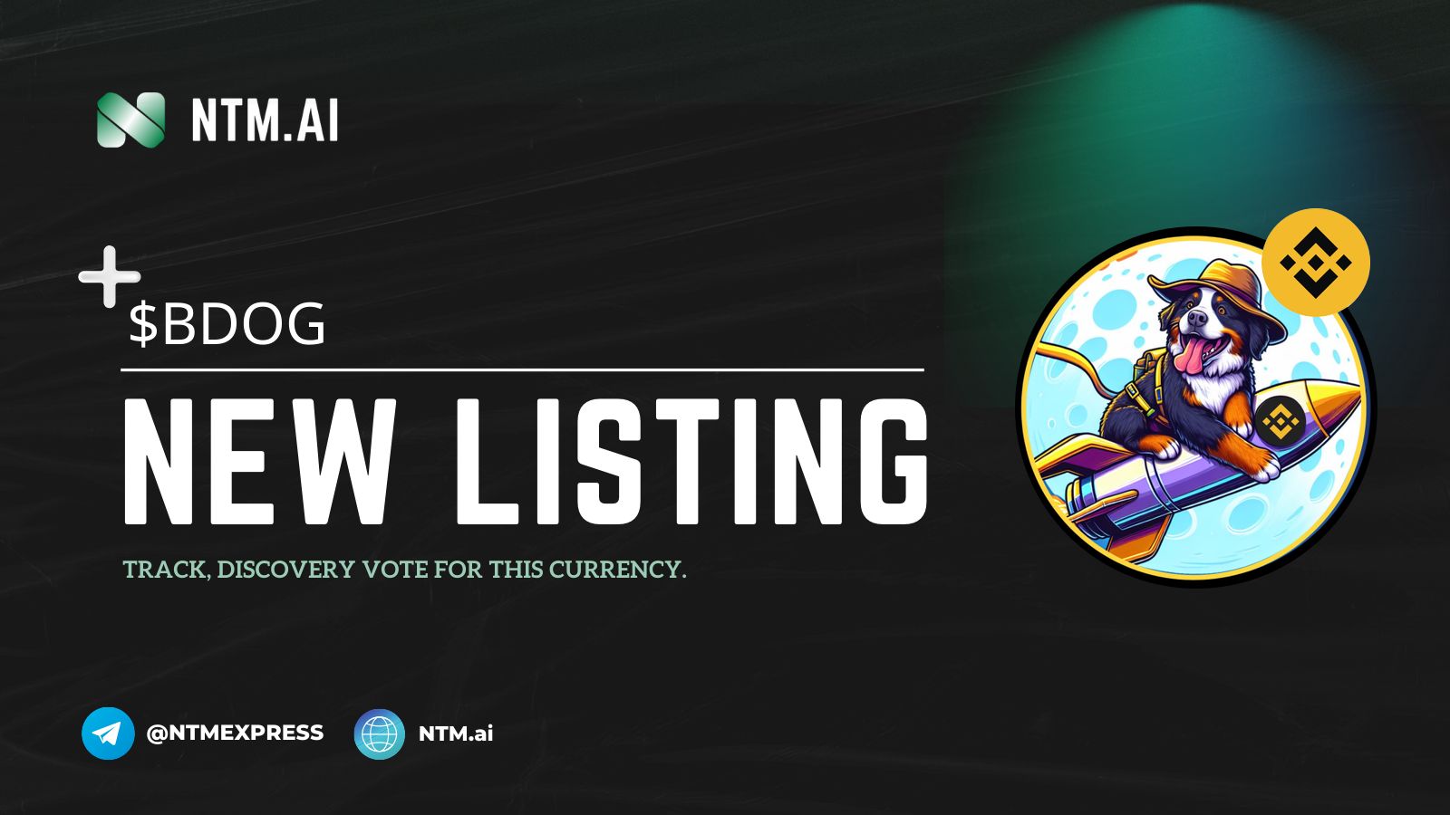 BINANCE DOG (BDOG) | NTM.ai