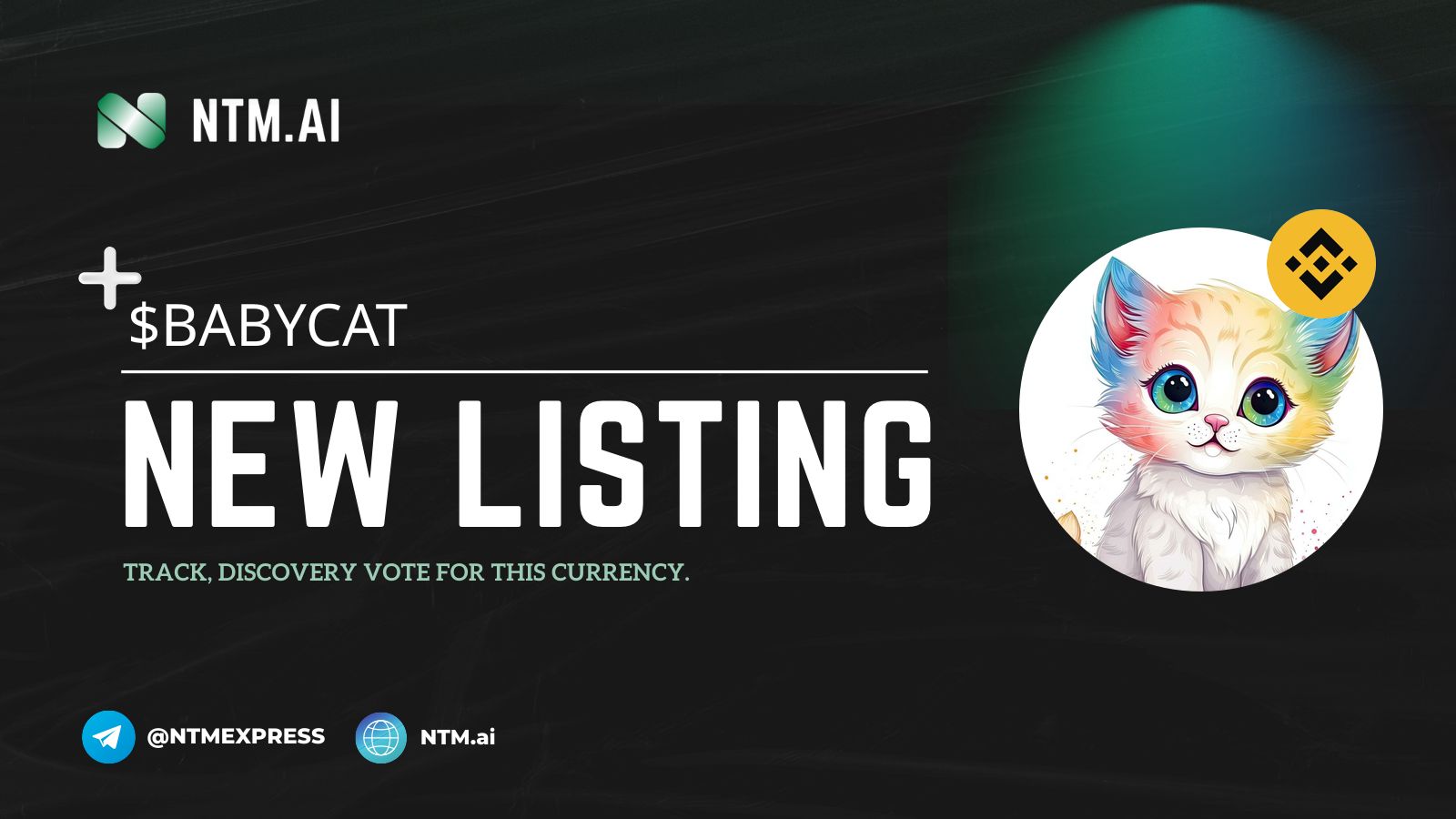 BABY CAT INU (BABYCAT) | NTM.ai