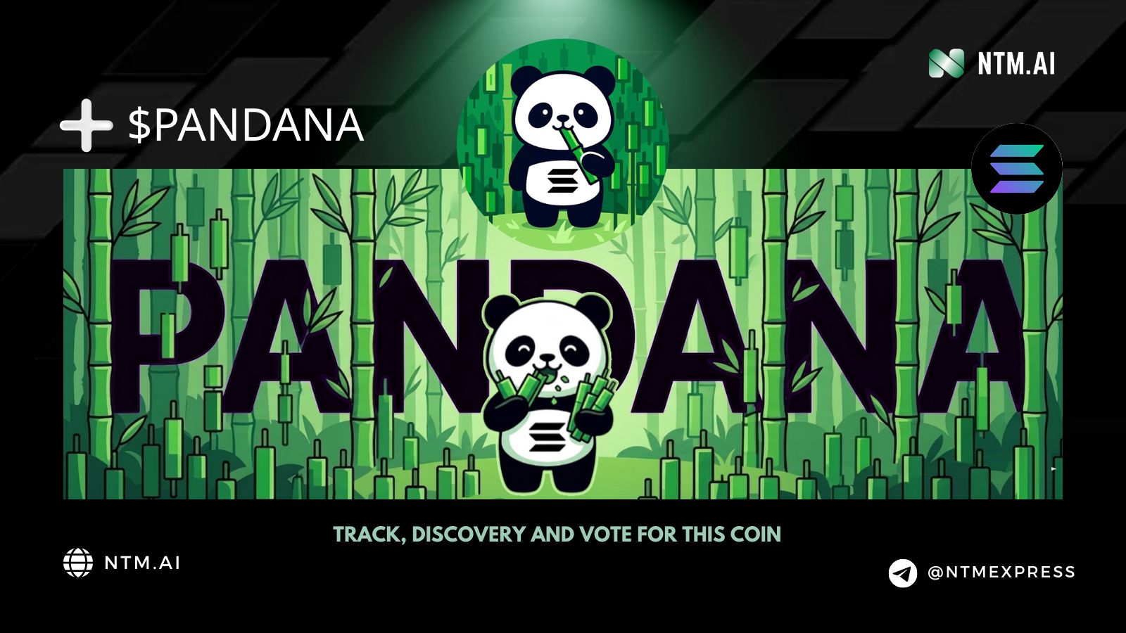 Pandana Solana (PANDANA) | NTM.ai