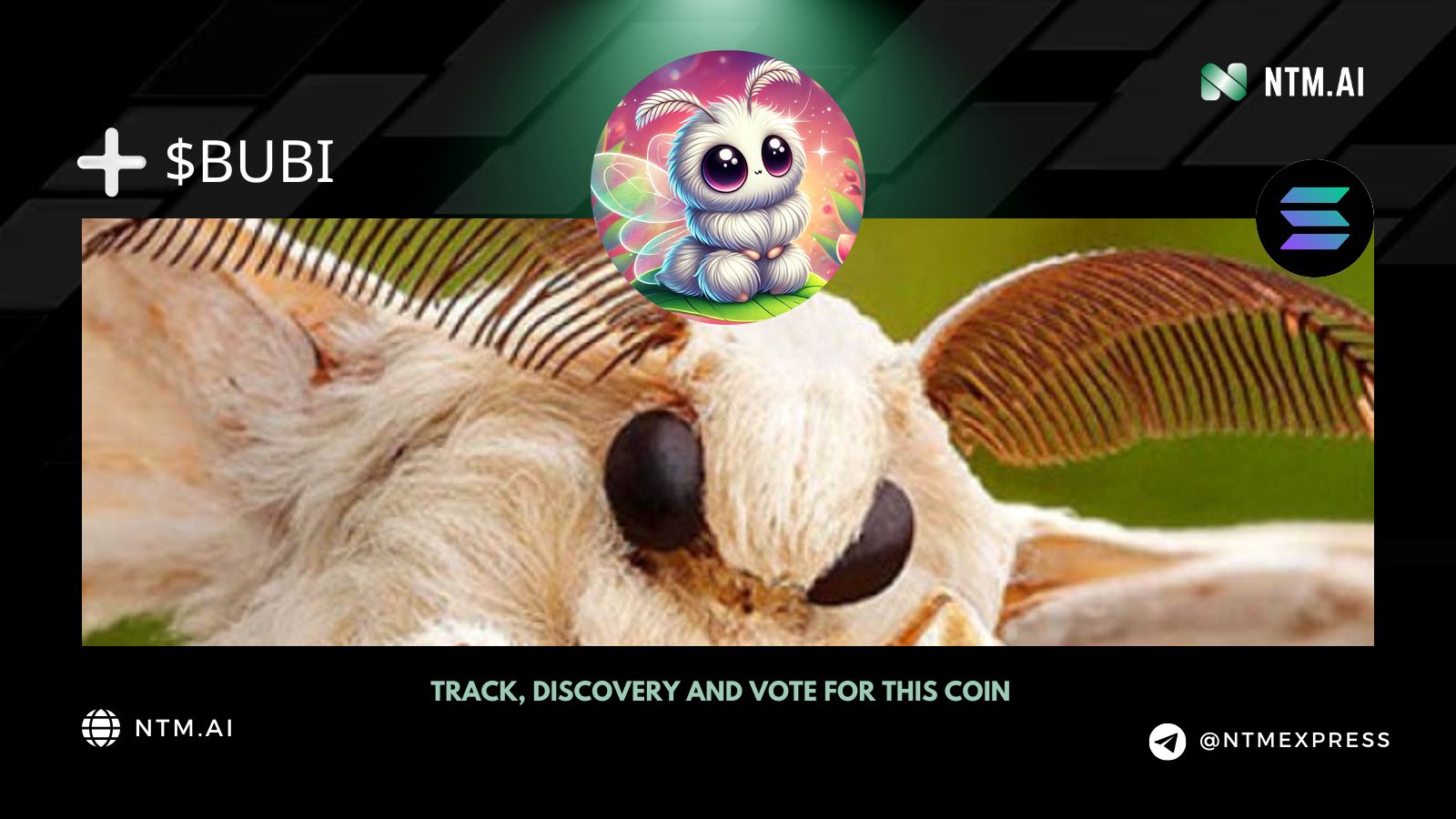 Bubi (BUBI) | NTM.ai