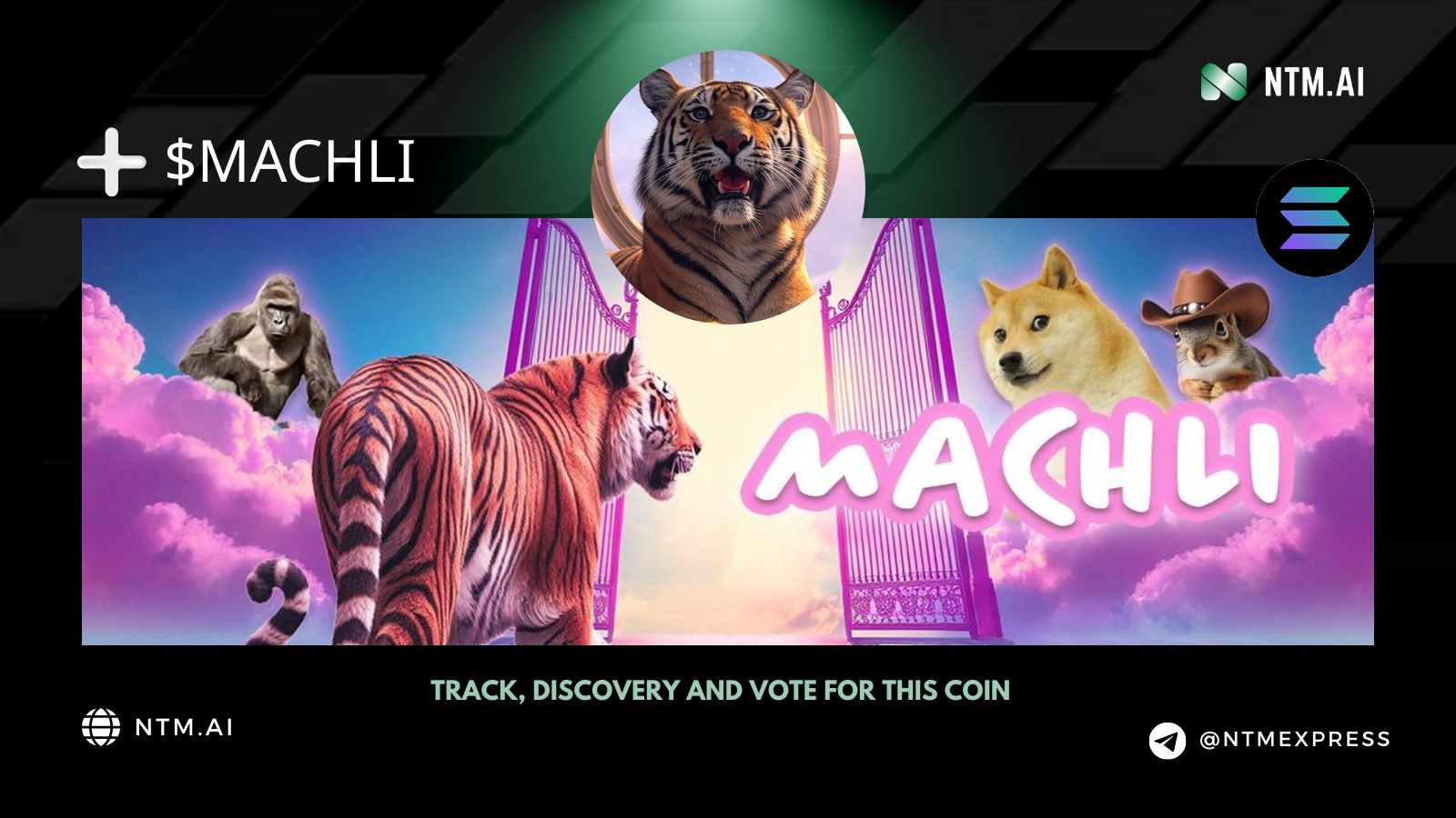 Machli (MACHLI) | NTM.ai